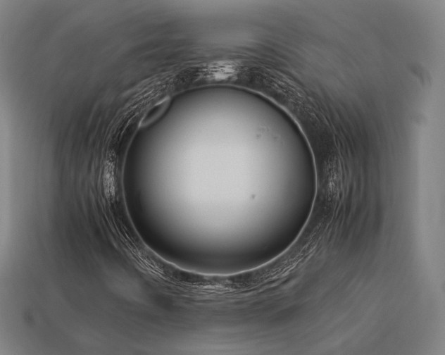 X0000113761442200909231155