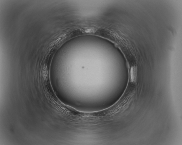 X0000113761443200909231155