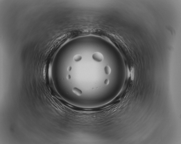 X0000113761444200909231154