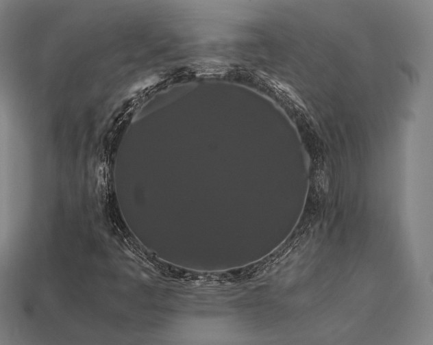 X0000113761445200909231154