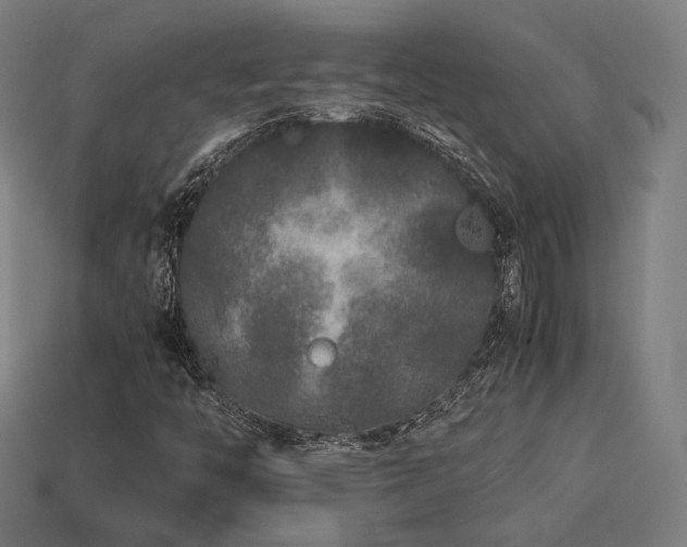 X0000113761446200909231154
