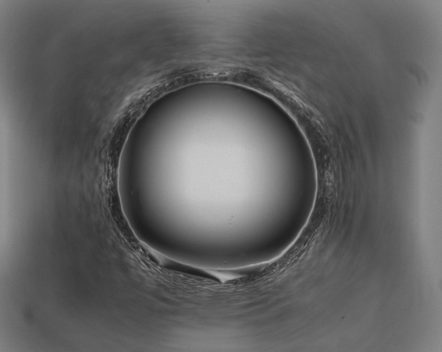 X0000113761447200909231154