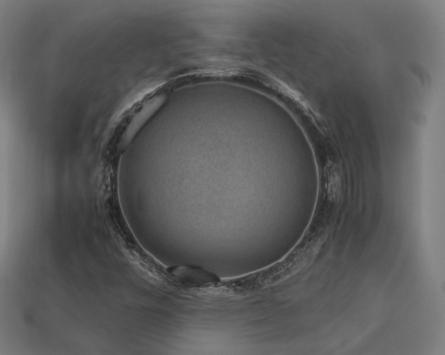 X0000113761448200909231154