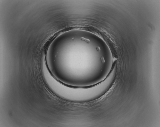 X0000113761449200909231154