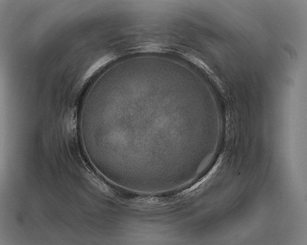 X0000113761450200909231154