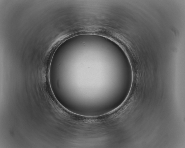 X0000113761451200909231154