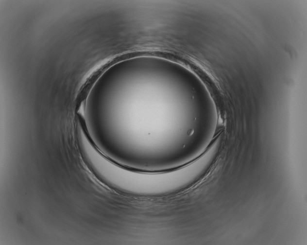 X0000113761452200909231154