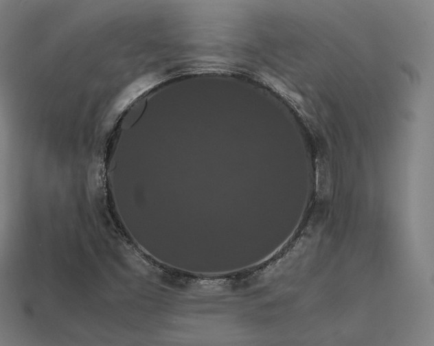X0000113761453200909231154