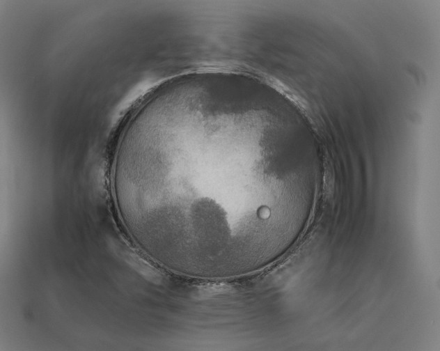X0000113761454200909231154