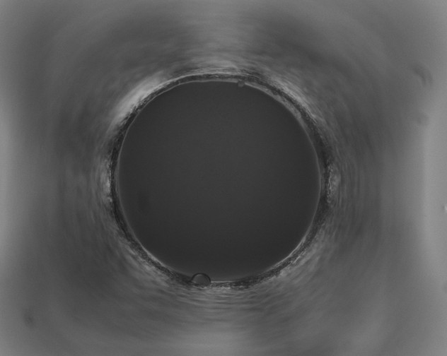 X0000113761455200909231154