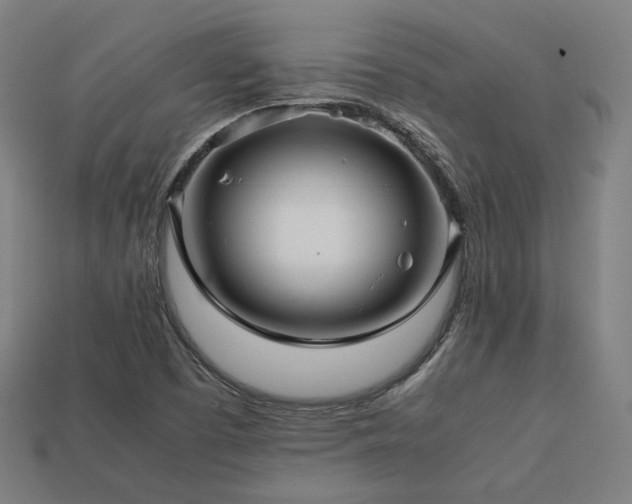 X0000113761457200909231154