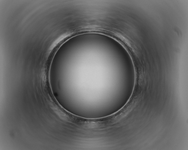 X0000113761458200909231154