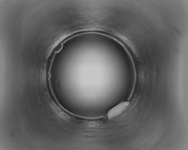 X0000113761460200909231154