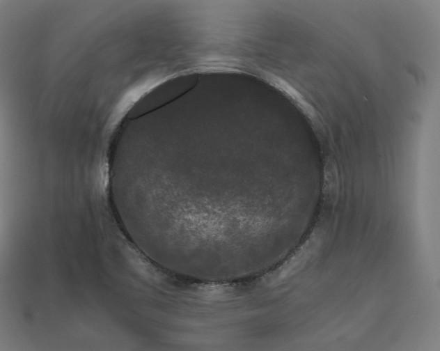 X0000113761461200909231154