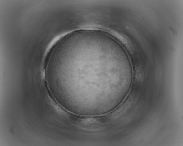 X0000113761462200909231154