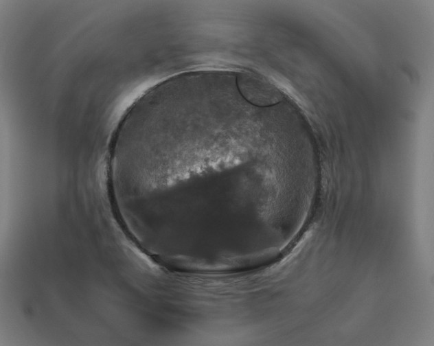 X0000113761463200909231154
