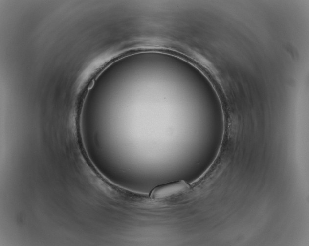 X0000113761464200909231154