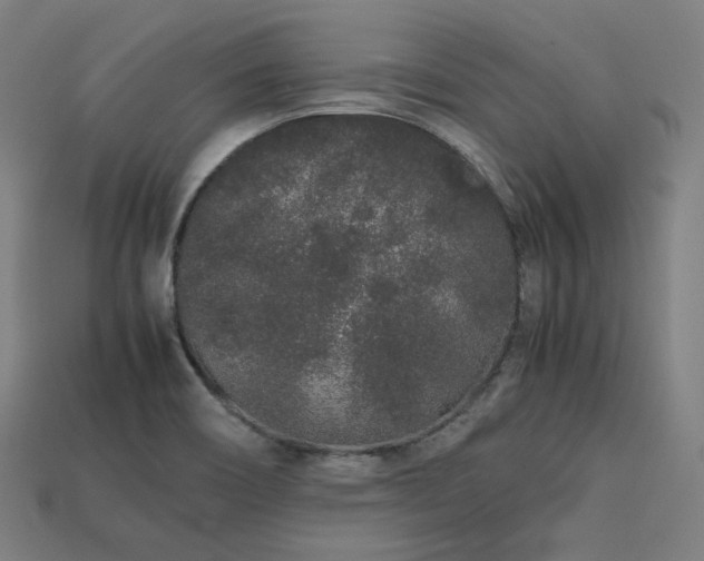X0000113761466200909231154