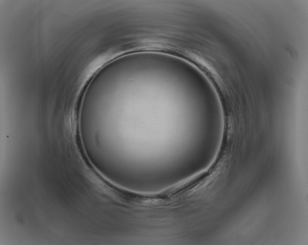X0000113761467200909231154