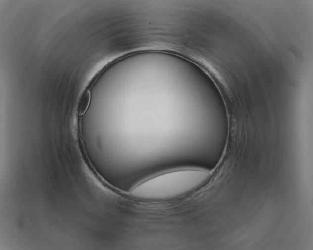 X0000113761468200909231154