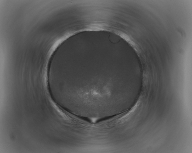 X0000113761469200909231154
