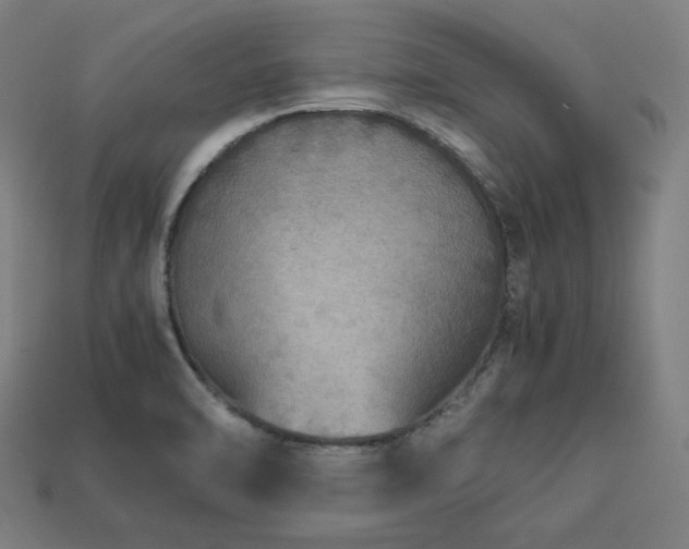 X0000113761470200909231154