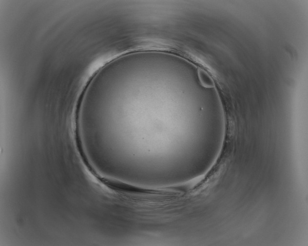 X0000113761471200909231154