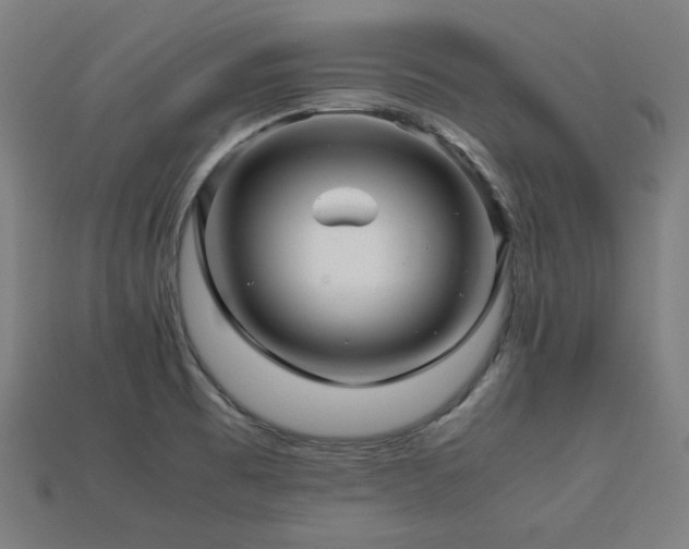 X0000113761473200909231154
