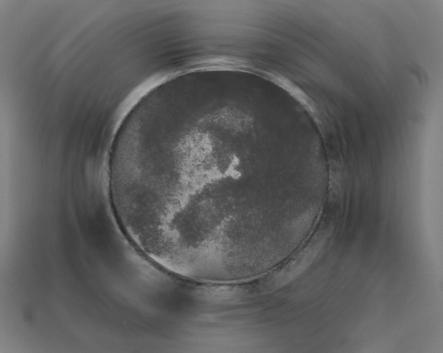 X0000113761474200909231154