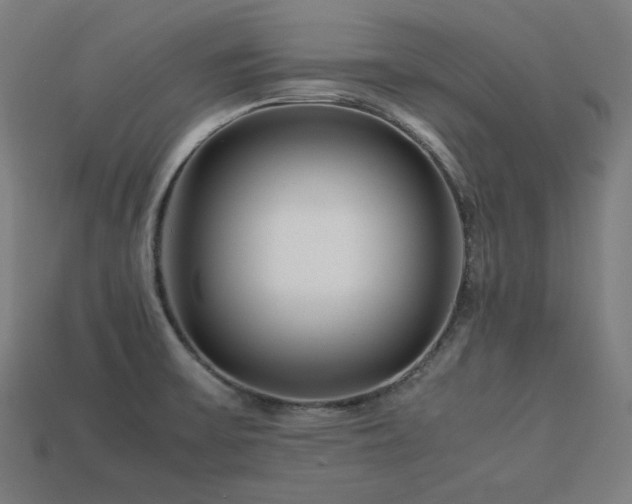 X0000113761475200909231154