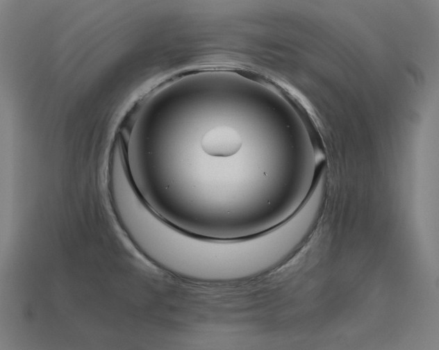 X0000113761477200909231154