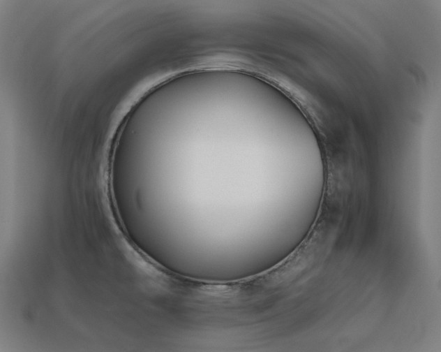 X0000113761478200909231154