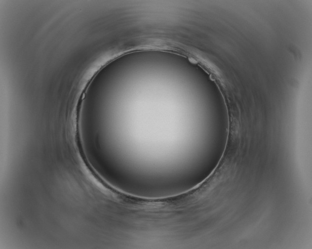 X0000113761479200909231154