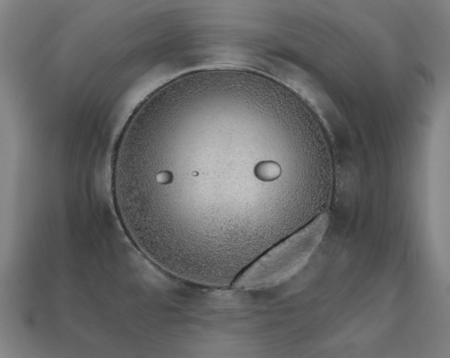X0000113761480200909231154