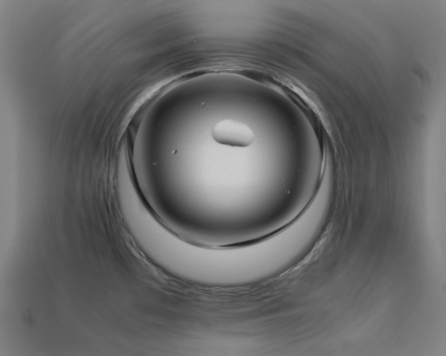 X0000113761481200909231154