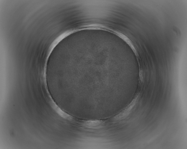 X0000113761482200909231154