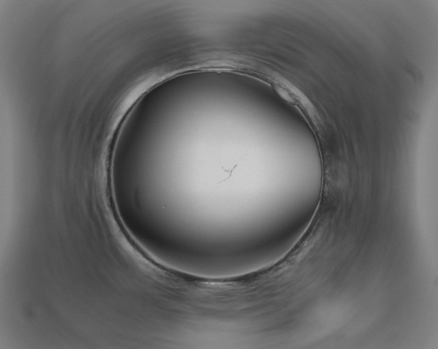 X0000113761483200909231154