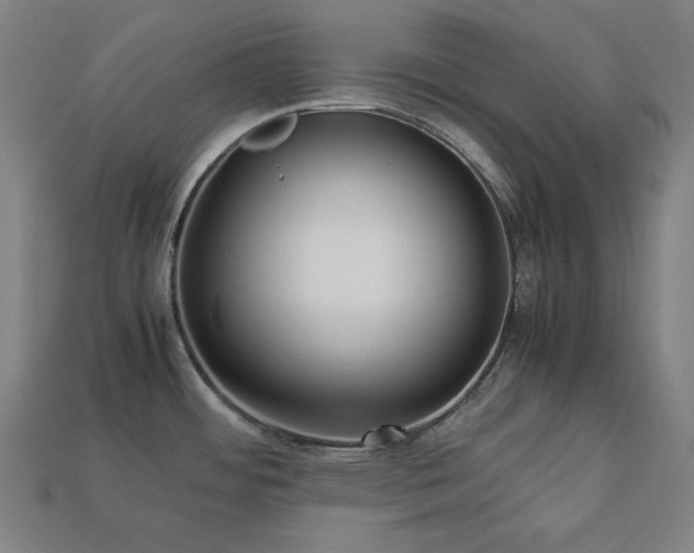 X0000113761484200909231154