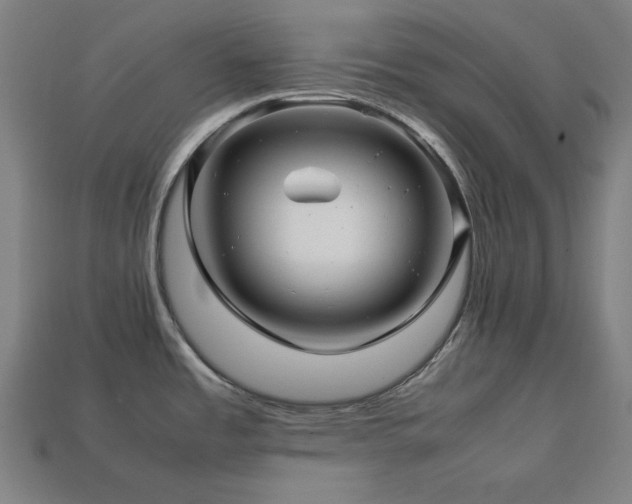 X0000113761485200909231154