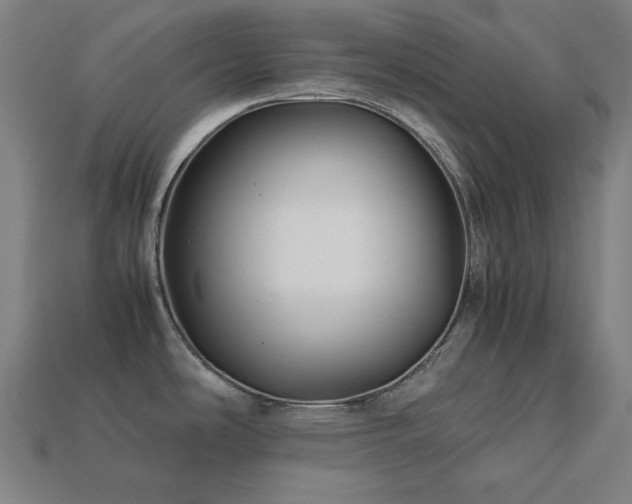 X0000113761486200909231154