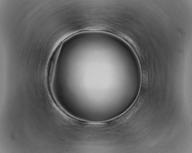 X0000113761487200909231154