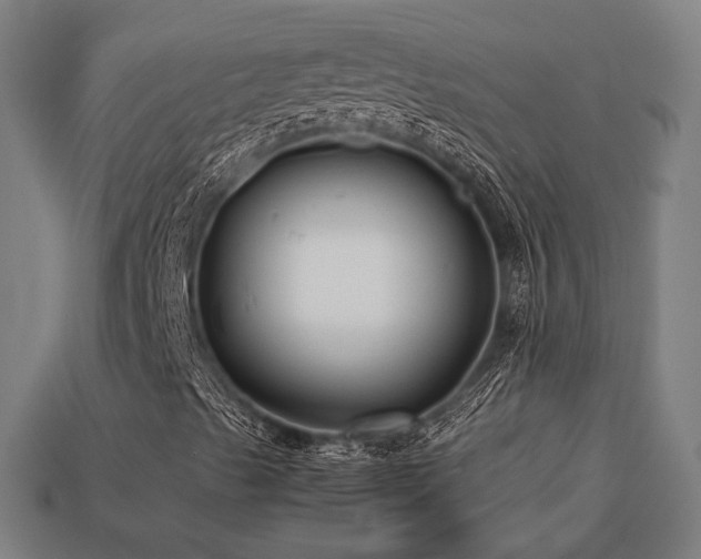 X0000113761489200909231153