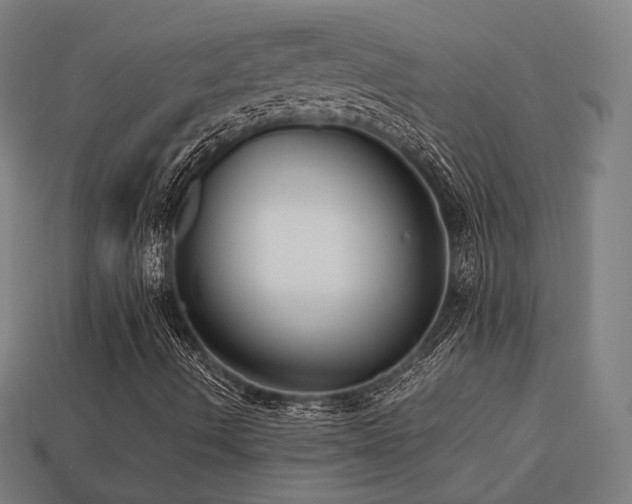 X0000113761490200909231153