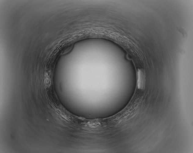 X0000113761491200909231153