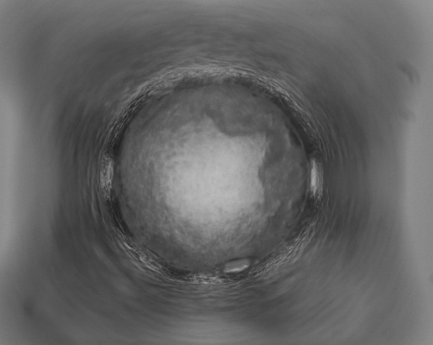 X0000113761492200909231153