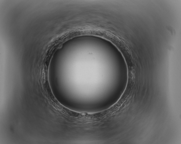 X0000113761493200909231153