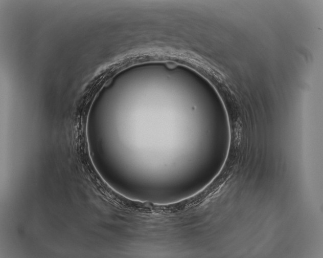 X0000113761494200909231153