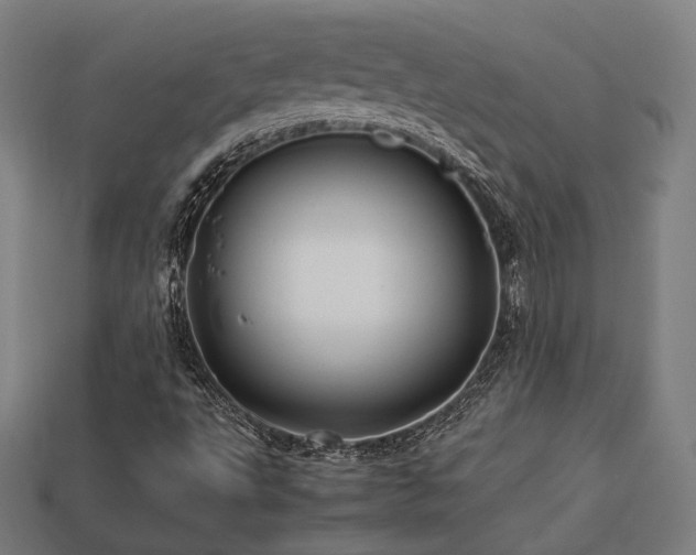 X0000113761495200909231153