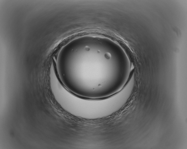 X0000113761496200909231153