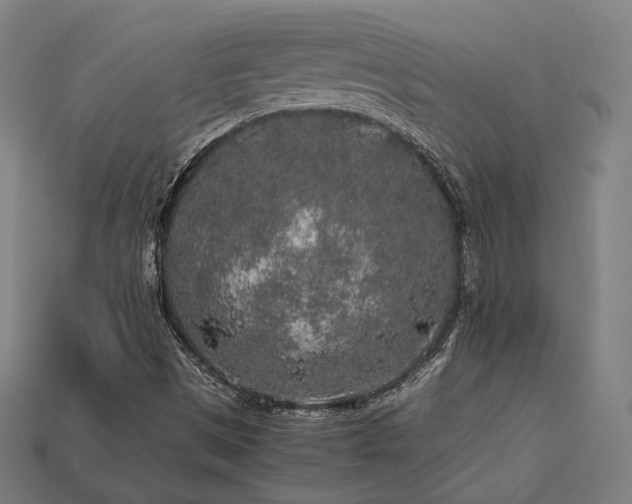 X0000113761497200909231153
